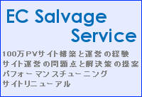 EC Salvage Serive 100万PVサイト構築と運営の経験 サイト運営の問題点と解決策の提案 パフォーマンスチューニング サイトリニューアル